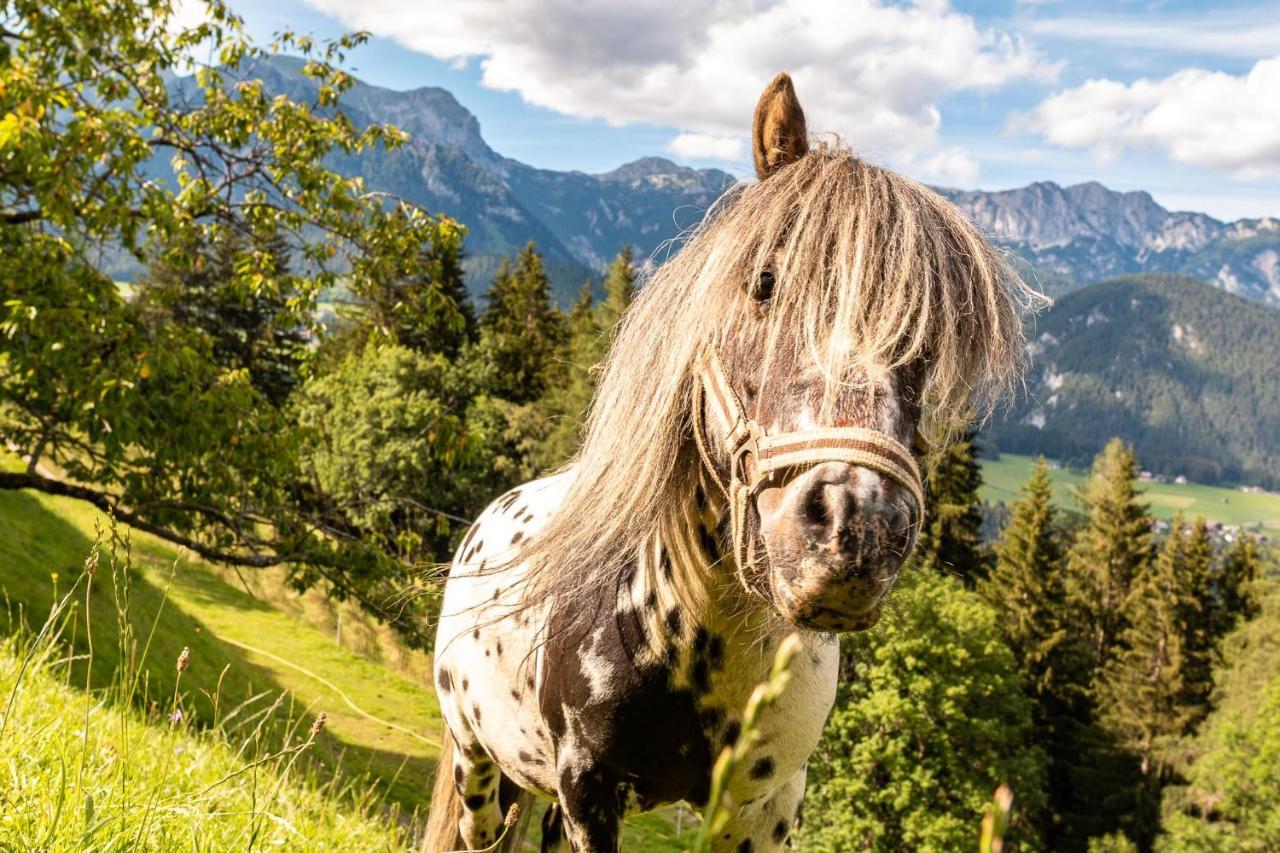 Apartmán Bucheggerhof Schladming Exteriér fotografie