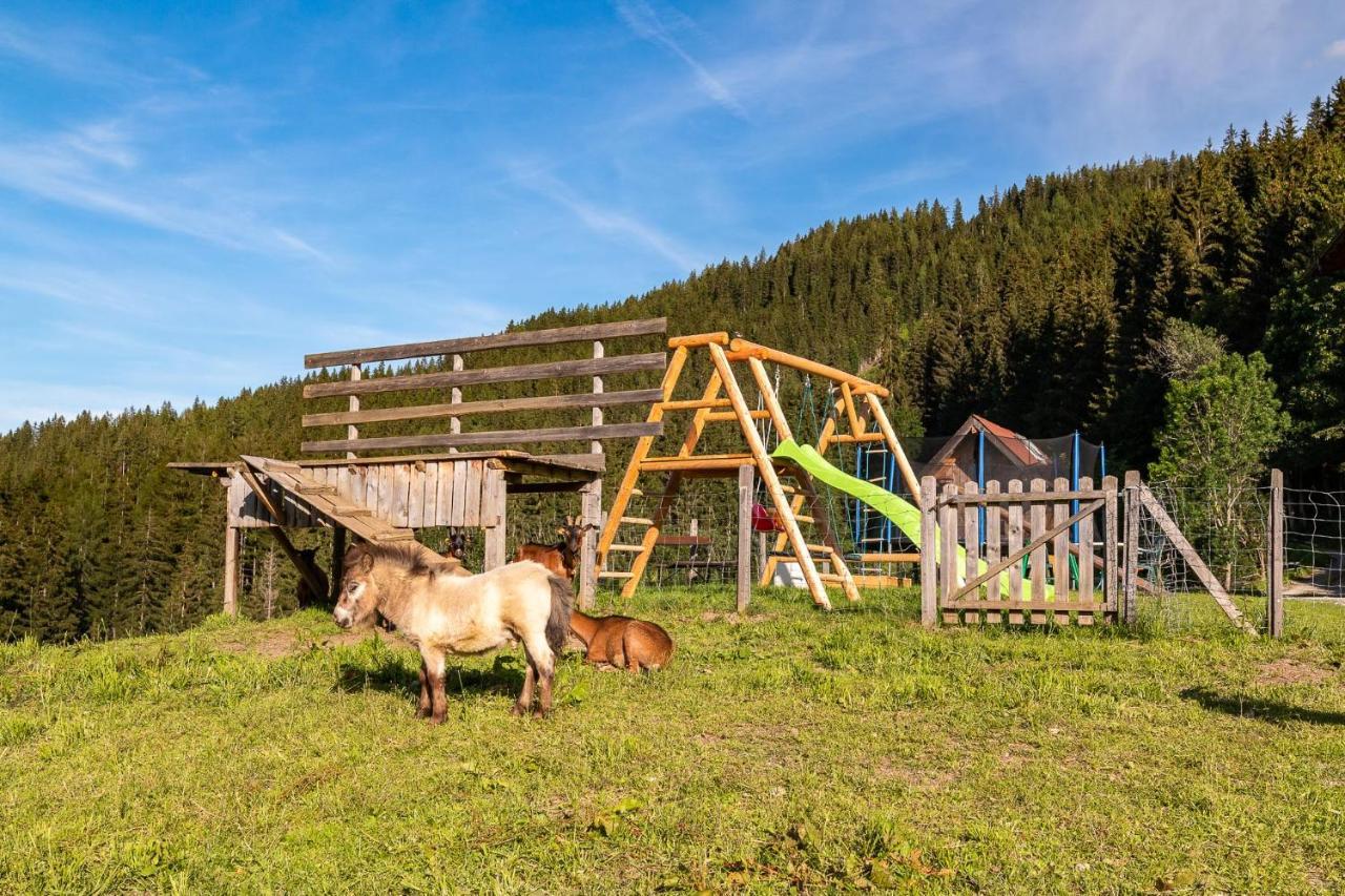 Apartmán Bucheggerhof Schladming Exteriér fotografie